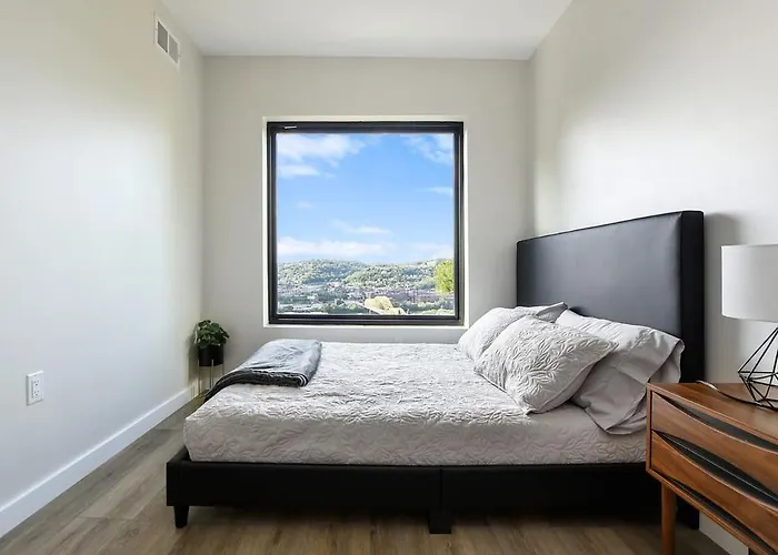 Skyline's Duplex- 10bd-6bth 4car Parking W Roofdeck Pittsburgh