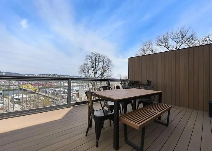 Skyline's Duplex- 10bd-6bth 4car Parking W Roofdeck Pittsburgh